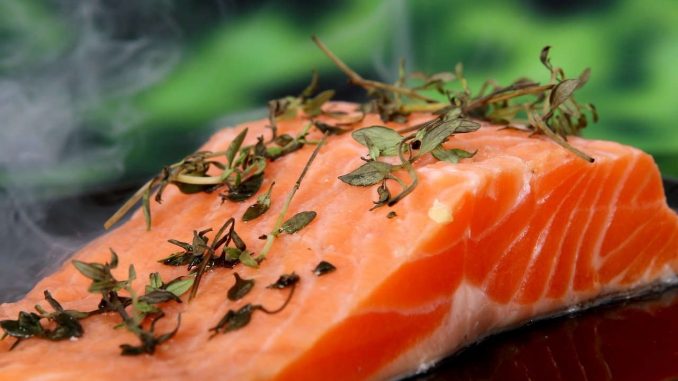 salmon